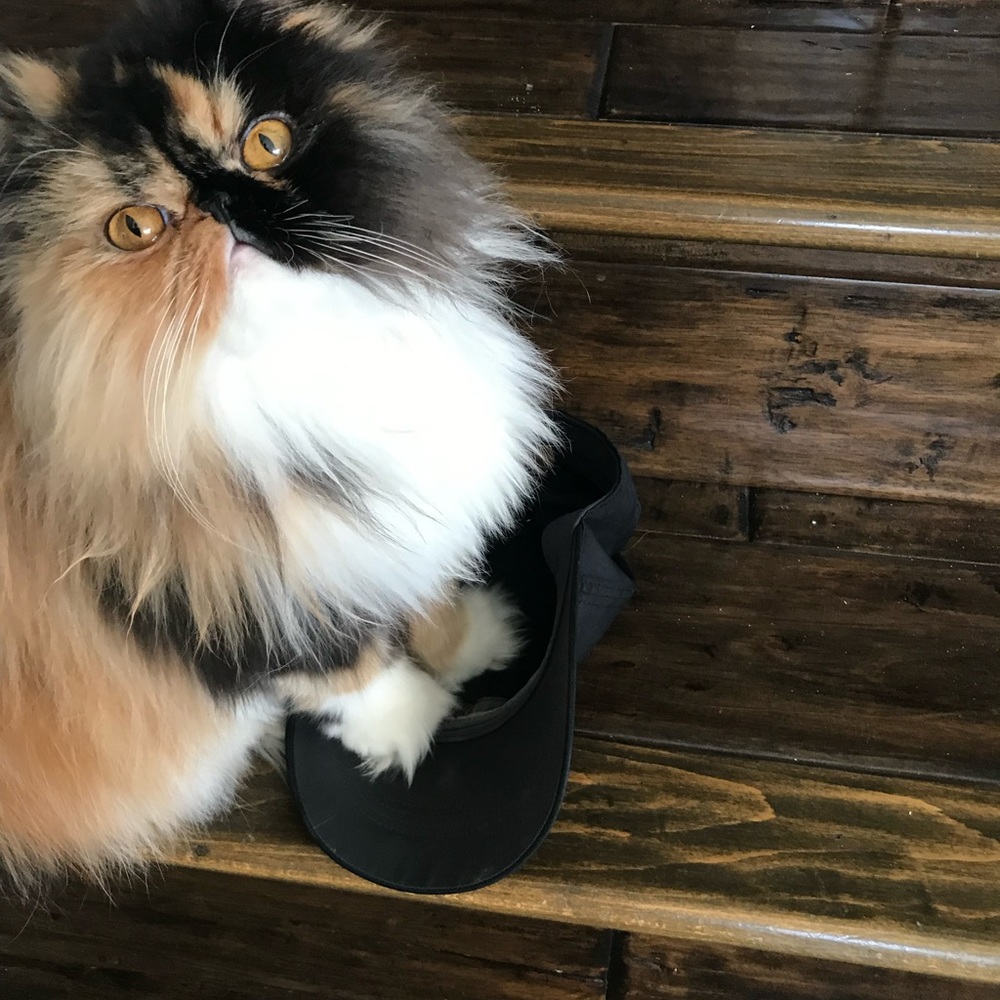 Meet your Posher, Camille